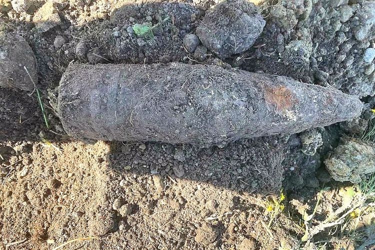 Взрывотехники ОМОН Росгвардии обследовали боеприпасы времён войны, обнаруженные в Петербурге и Ленобласти
