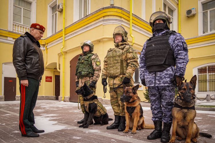 В Санкт-Петербурге генерал-лейтенант Алексей Воробьев наградил кинологов, отличившихся в ходе специальной военной операции 