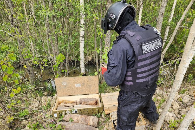 Взрывотехники ОМОН Росгвардии уничтожили на полигоне боеприпасы времён войны, обнаруженные на территории Петербурга и Ленобласти