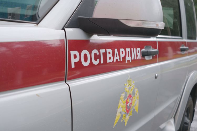 В Выборге сотрудники Росгвардии задержали гражданина, разыскиваемого за кражу смартфона