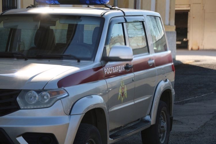 Во Фрунзенском районе сотрудники вневедомственной охраны задержали хулигана с пневматическим пистолетом