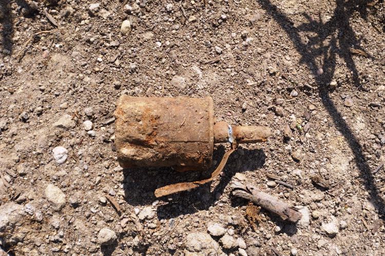 В Выборгском районе области взрывотехники ОМОН Росгвардии обследовали гранату времён войны