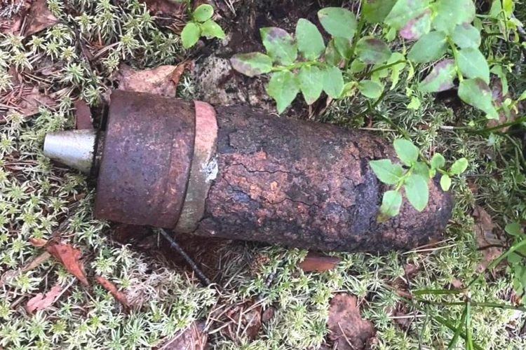 В Ленинградской области взрывотехники ОМОН Росгвардии обследовали боеприпасы времён войны