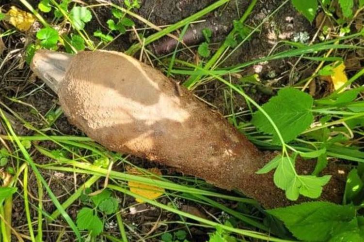 В Ленинградской области взрывотехники ОМОН Росгвардии обследовали боеприпасы времён войны