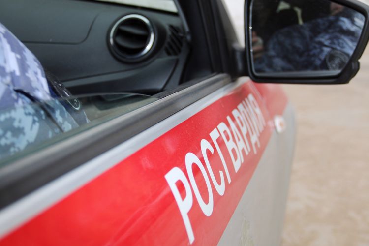 В Центральном районе сотрудники Росгвардии задержали лиц, совершивших кражи из супермаркета на Владимирском проспекте