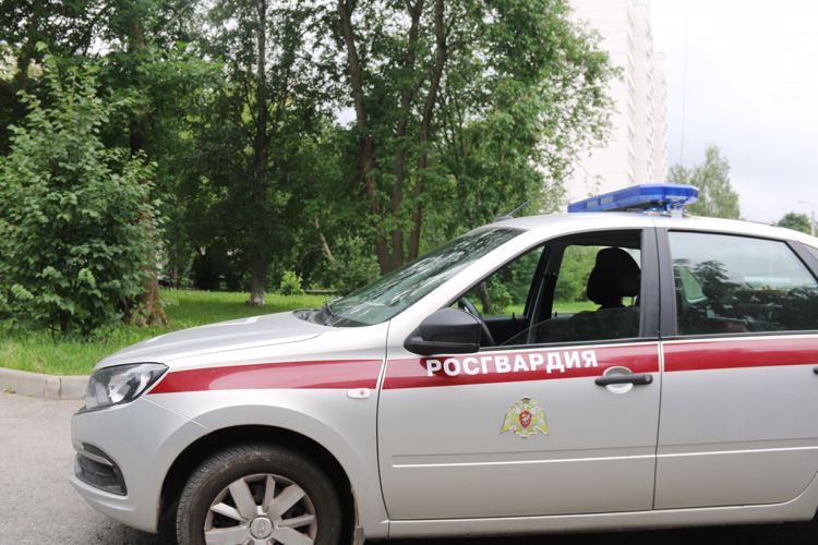 В Пушкинском районе сотрудники Росгвардии задержали гражданина, избившего 50-летнюю мать во время ссоры