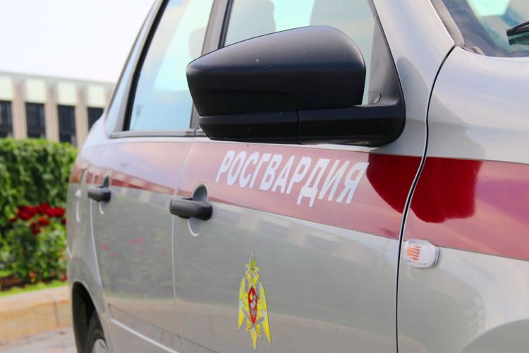 В Невском районе наряд Росгвардии задержал нетрезвого гражданина, напавшего на двух прохожих