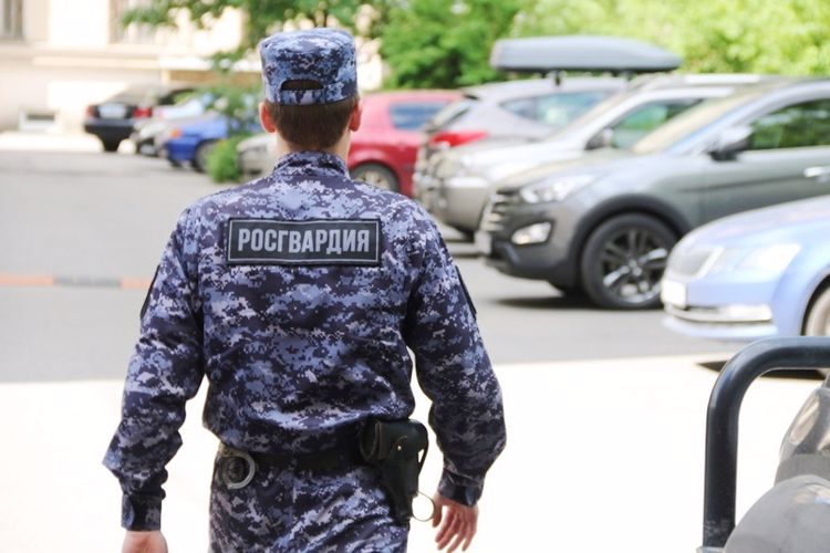 В Невском районе сотрудники вневедомственной охраны задержали гражданина, разбившего телефон своей знакомой