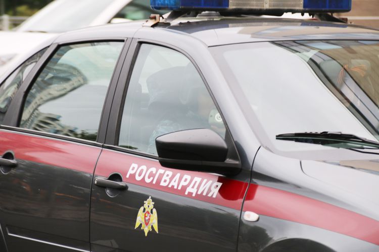 В Выборге наряд вневедомственной охраны задержал мужчину, повредившего имущество бывшей жены