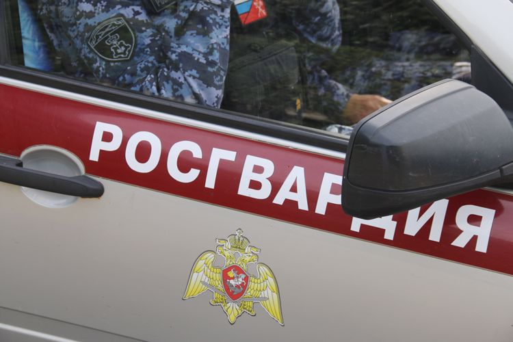 В Красногвардейском районе сотрудники вневедомственной охраны задержали правонарушительницу, избившую администратора кафе