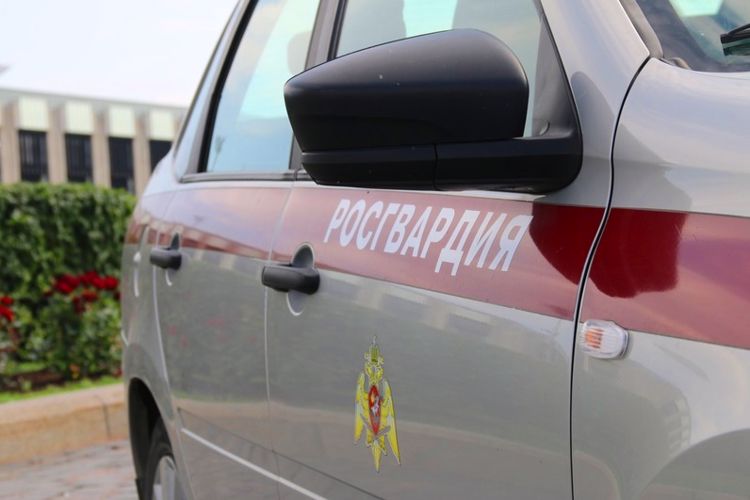 В Гатчине сотрудники вневедомственной охраны задержали рецидивиста, совершившего кражу мобильного телефона у продавца