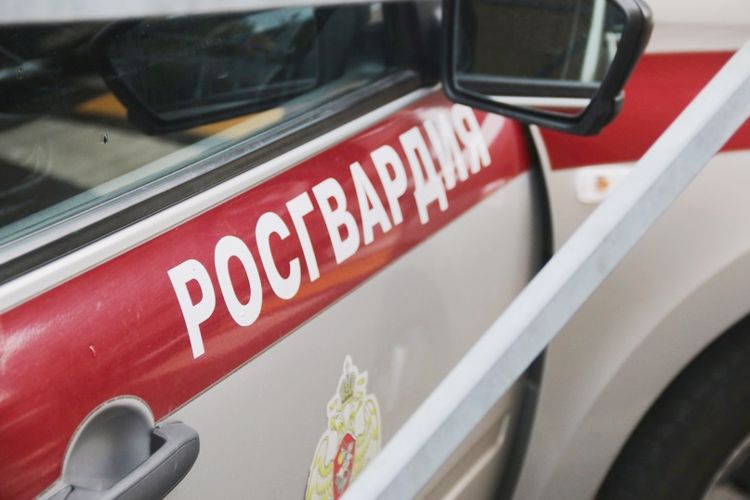 В поселке Шушары сотрудники вневедомственной охраны задержали правонарушителя, убегавшего с похищенным товаром от работницы магазина