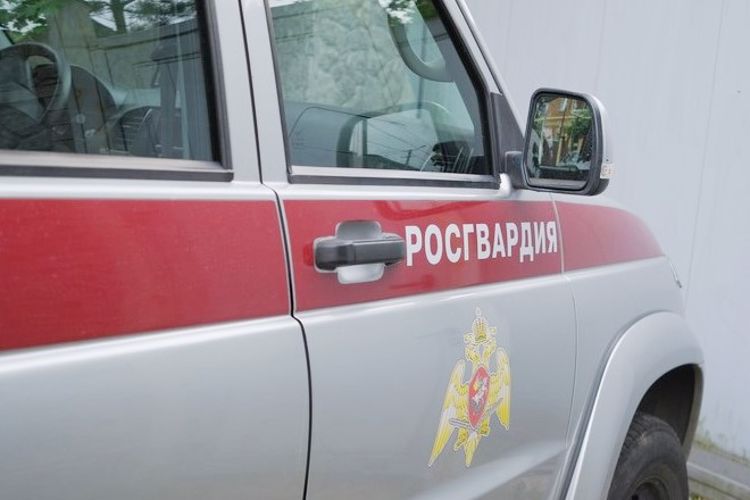 Во Всеволожске наряд вневедомственной охраны по горячим следам задержал злоумышленника, напавшего на прохожего