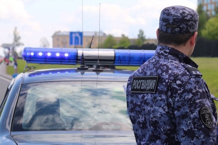 В Колпино наряд Росгвардии задержал хулигана, нанесшего побои работнику медучреждения