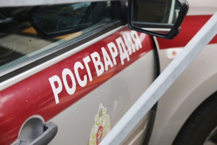 В Центральном районе сотрудники Росгвардии задержали нетрезвых правонарушителей, проникших на крышу здания национальной библиотеки