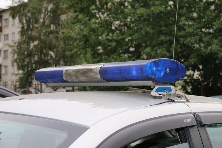 В Выборгском районе сотрудниками Росгвардии задержан разыскиваемый правонарушитель