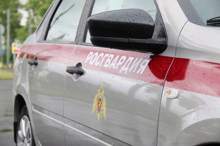 В Кировском районе наряд Росгвардии задержал нетрезвого гражданина, нанесшего телесные повреждения работнице охраны детского сада
