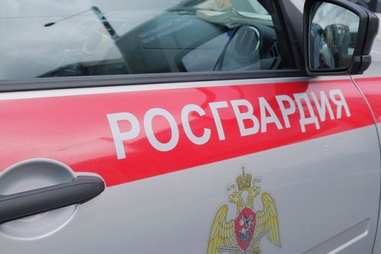 В Невском районе наряд вневедомственной охраны задержал нетрезвого гражданина, пристававшего к несовершеннолетним
