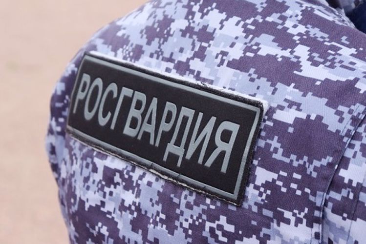 В Выборге наряд Росгвардии задержал хулигана, ночью повредившего имущество школы