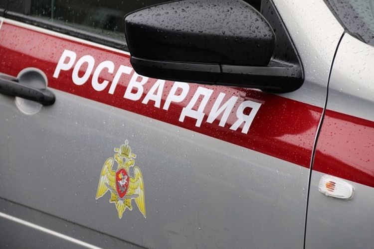 В Московском районе сотрудники Росгвардии задержали правонарушителя, ранившего ножом таксиста