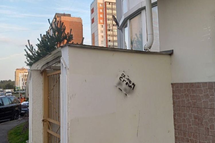 Во Всеволожске наряд Росгвардии задержал женщину, распространявшую незаконную рекламу