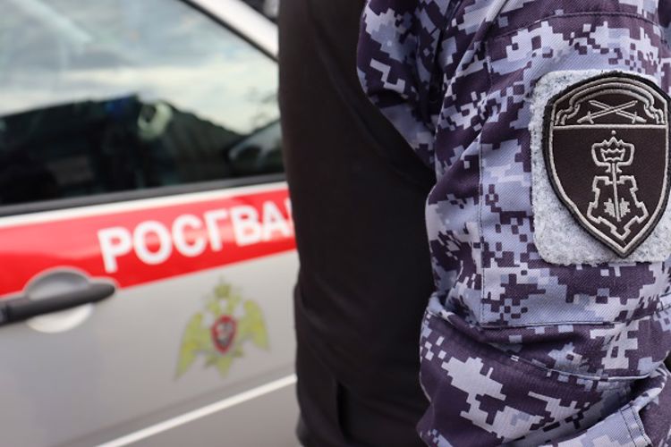 В Красносельском районе наряд Росгвардии передал полицейским потерявшегося малолетнего ребенка, которого обнаружила на улице прохожая