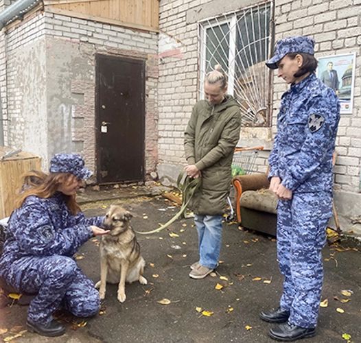 В Санкт-Петербурге сотрудники Росгвардии посетили приюты для бездомных животных