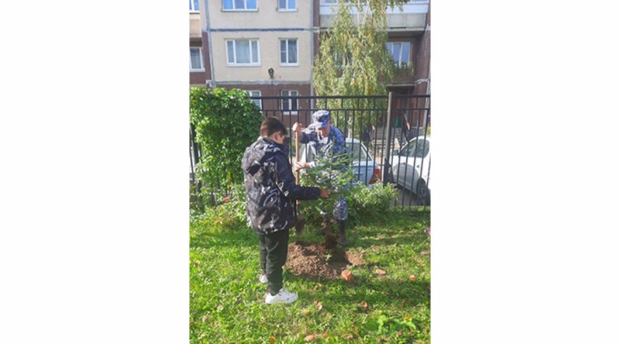 В Петербурге и Ленобласти сотрудники Росгвардии приняли участие в экологических акциях "Зеленая Россия" и "Сохраним лес"
