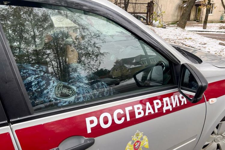 В Пушкине наряд Росгвардии задержал правонарушителя, избившего мужчину в ходе уличного конфликта