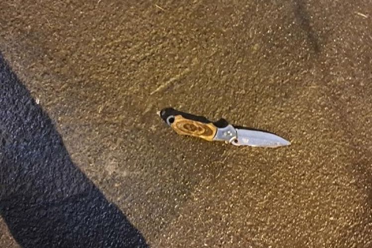 В Красном Селе наряд Росгвардии задержал вооруженного ножом гражданина, напавшего на прохожего из-за сделанного замечания