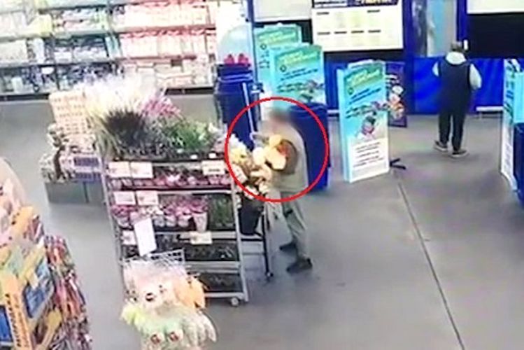 В Шушарах сотрудники Росгвардии задержали гражданина, дважды похищавшего букеты цветов из гипермаркета