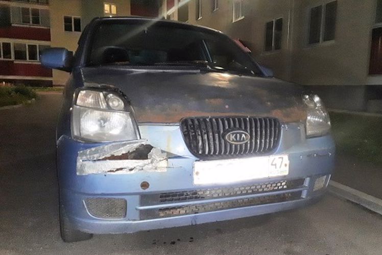 В Приозерске сотрудники Росгвардии обнаружили автомобиль, водитель которого повредил имущество школы-интерната и скрылся