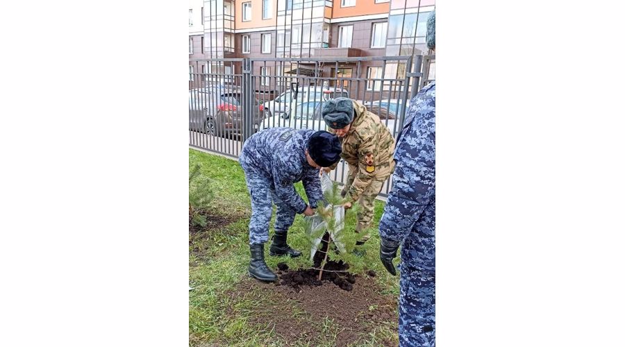 Cотрудники и военнослужащие Росгвардии присоединились к патриотическо-экологической акции "Посади дерево памяти"