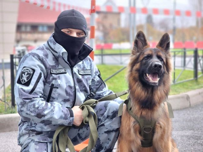 Подразделения Росгвардии обеспечили правопорядок при проведении спортивных мероприятий в Санкт-Петербурге