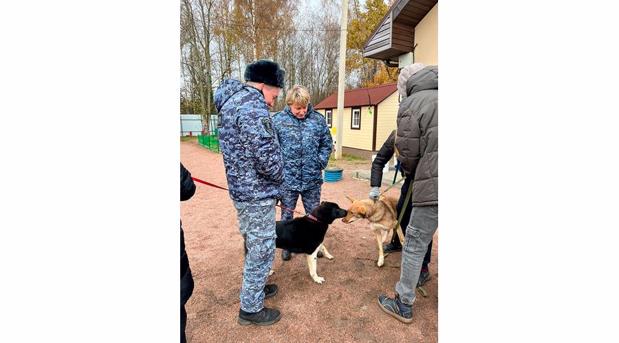 Во Всеволожске сотрудники Росгвардии посетили приют для животных