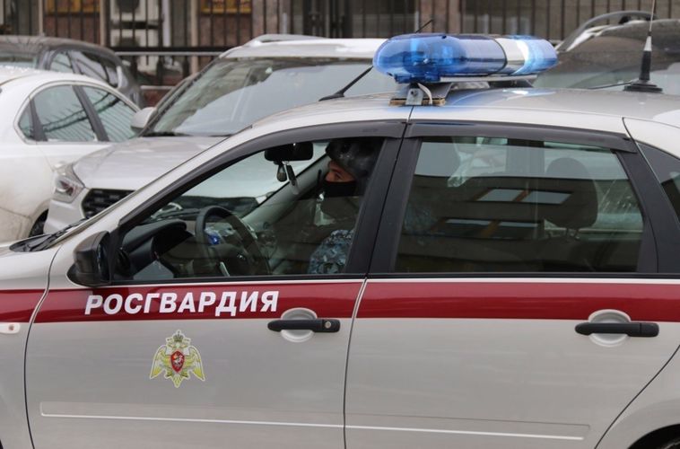 В Московском районе наряд вневедомственной охраны по подозрению в краже товаров задержал сборщицу заказов и её мужа