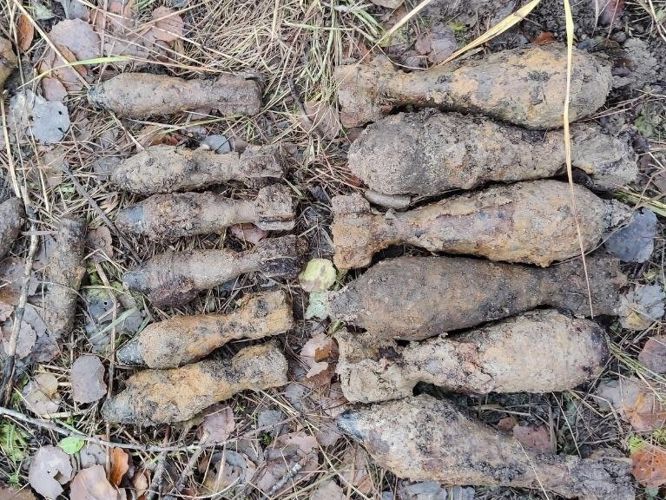 В Пушкине специалисты ОМОН Росгвардии обследовали и уничтожили на полигоне несколько боеприпасов времён войны