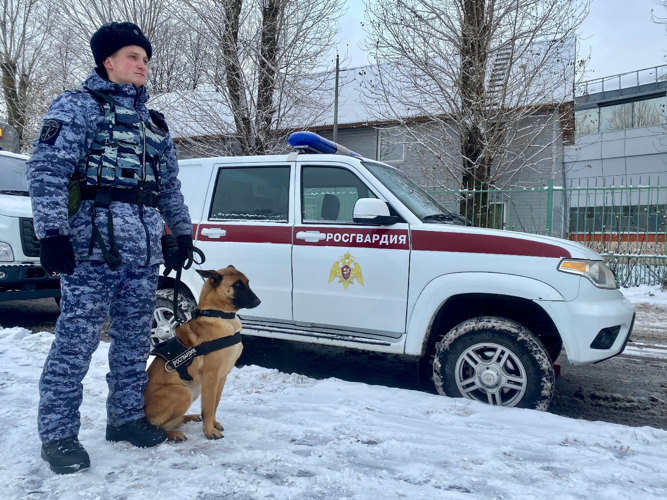 Подразделения Росгвардии обеспечили правопорядок при проведении крупных спортивных мероприятий в Санкт-Петербурге
