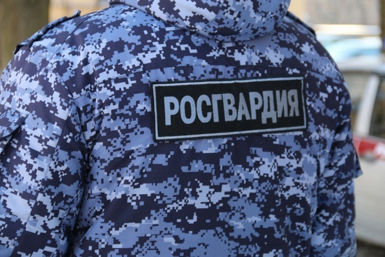 Наряд Росгвардии задержал разыскиваемого гражданина, мешавшего работе хостела в поселке Петро-Славянка
