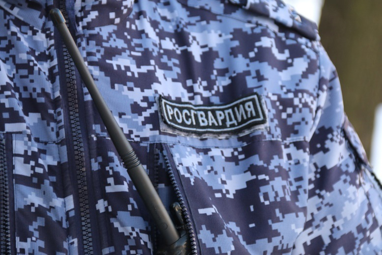 В Красногвардейском районе наряд Росгвардии задержал правонарушителя, избившего работницу гостиницы