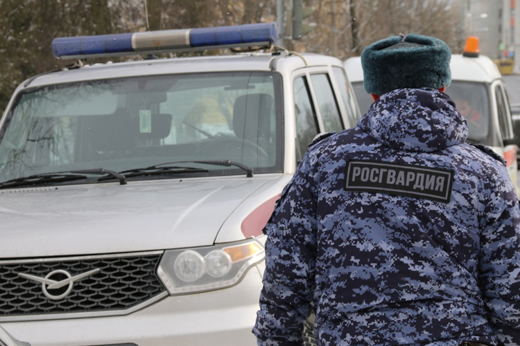 В Невском районе наряд вневедомственной охраны задержал двух граждан, избивших своего знакомого