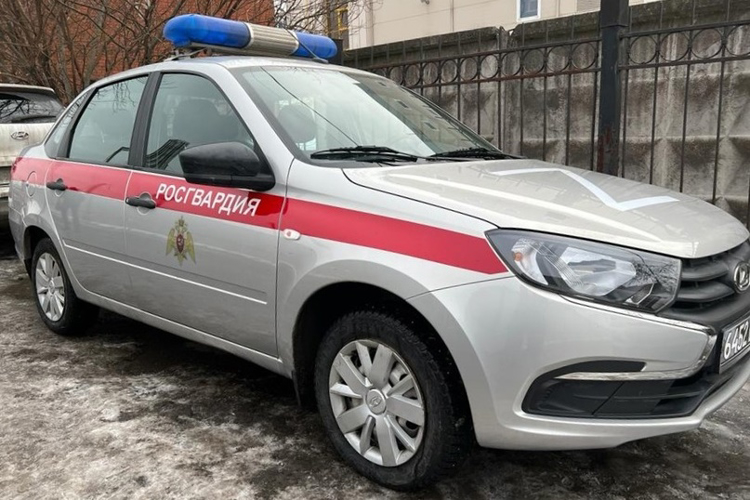 В Колпино наряд Росгвардии задержал ранее судимого гражданина, находящегося в федеральном розыске