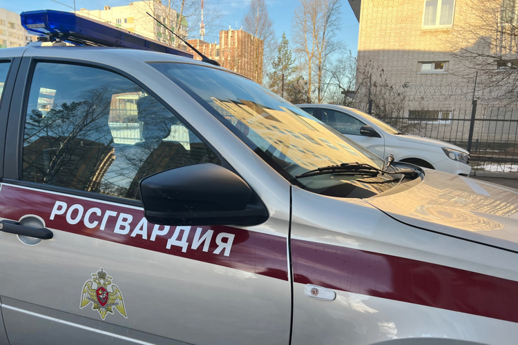 В Кировском районе сотрудники Росгвардии задержали двух рецидивистов, похитивших у прохожего дорогостоящий смартфон