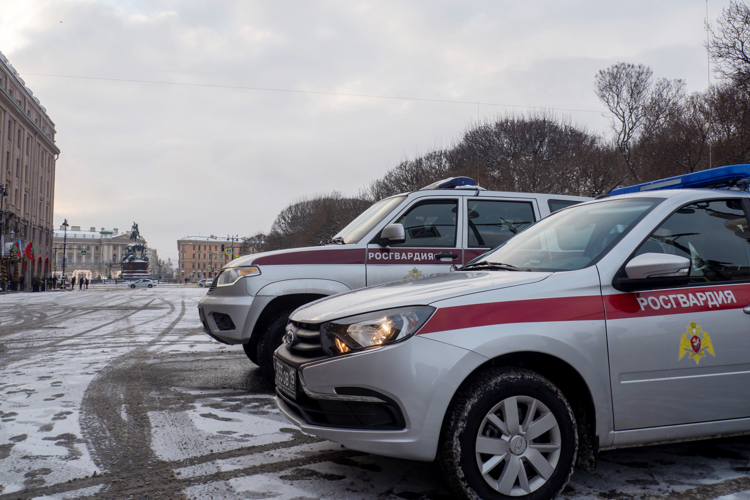 В Санкт-Петербурге сотрудники и военнослужащие Росгвардии обеспечили безопасность во время проведения саммитов ЕАЭС и СНГ