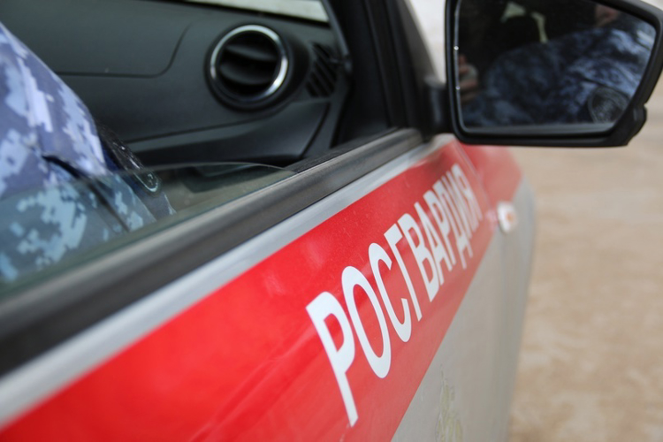 В Киришах наряд Росгвардии по горячим следам задержал рецидивиста, похитившего имущество из здания техникума
