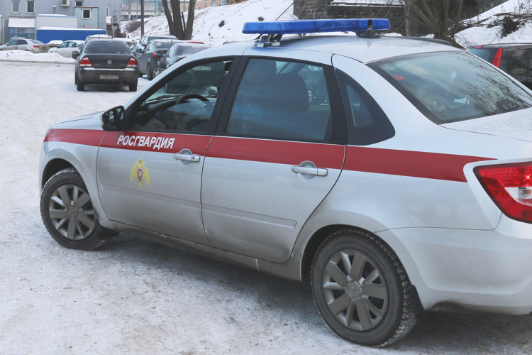 Во Фрунзенском районе наряд вневедомственной охраны задержал правонарушителей, совершивших кражу из магазина и избивших работника