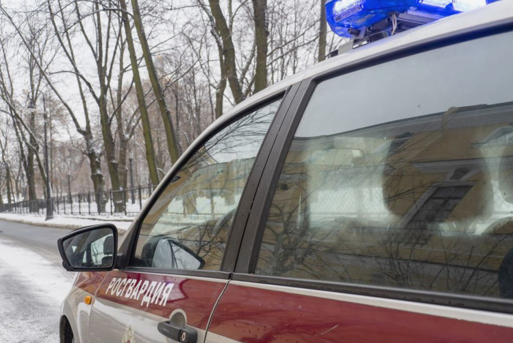 В Центральном районе наряд Росгвардии задержал гражданина, избившего тростью другого мужчину