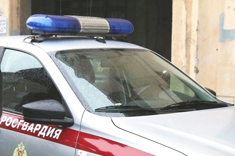 В Ломоносове наряд Росгвардии задержал нетрезвого гражданина, повредившего автомобиль скорой помощи