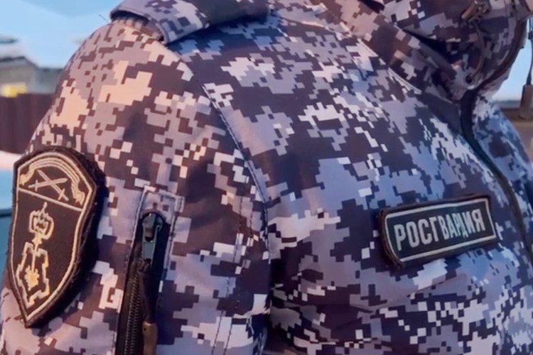 В Гатчинском районе сотрудники Росгвардии и полиции задержали ранее судимого гражданина, напавшего с мачете на сожительницу