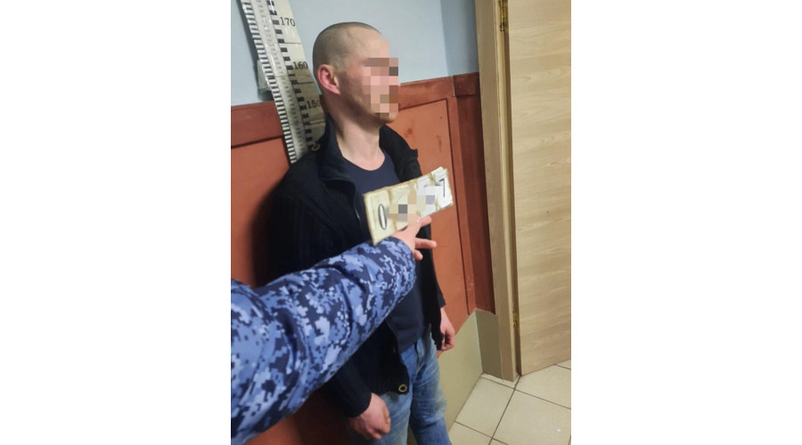 В Красносельском районе сотрудники Росгвардии задержали хулиганов, повредивших четыре иномарки